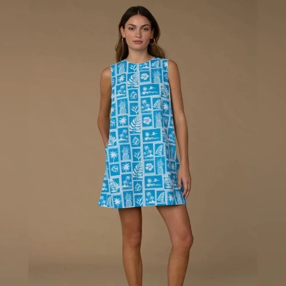 ELIZABETH JAMES THE LABEL ELLIE DRESS IN POSTCARD